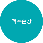 척수손상